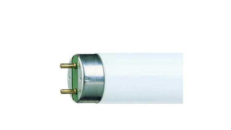 Świetlówka 23W 640 standardowa biel 8711500726384