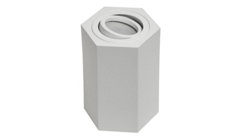Oprawa sufitowa Areno White ruchoma aluminium 100x