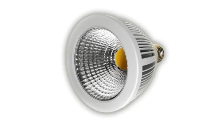 Żarówka LED COB PAR30 10W 230V E27 biały dzienny