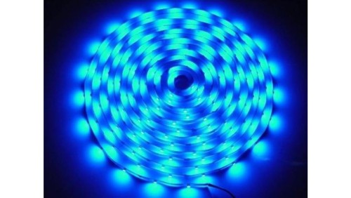 Taśma LED Premium 2835 5m/300diod niebieska IP