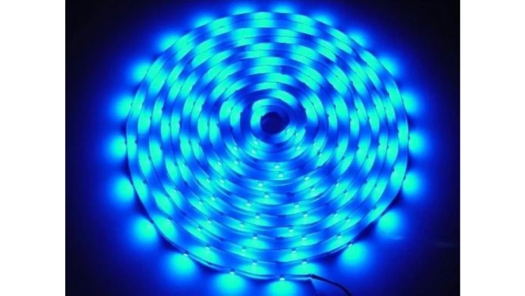 Taśma LED Premium 2835 5m/300diod niebieska IP