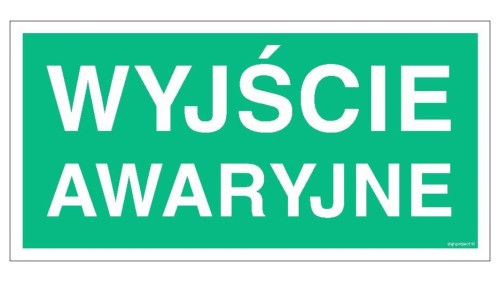 ZNAK - AC006 Wyjście awaryjne 20 x 10 cm TS - Płyta TD foto.