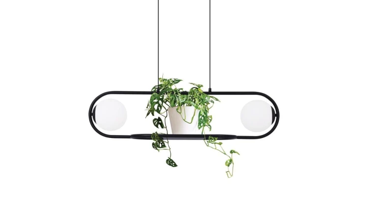 Lampa wisząca FINESTRA szklane klosze, funkcja kwietnika K-4961 Kaja Lighting