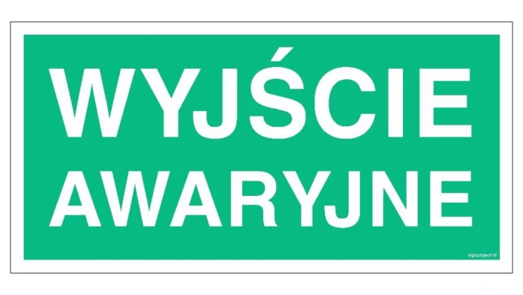 ZNAK - AC006 Wyjście awaryjne 40 x 20 cm TS - Płyta TD foto.