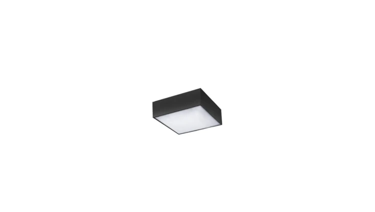 Plafon lampa sufitowa PLATO z mlecznymi kloszami na E14 do jadalni K-JSL-6059/5 AB Kaja Lighting