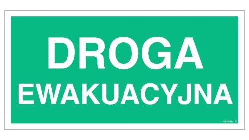ZNAK - AC005 Droga ewakuacyjna 100 x 50 cm TS - Płyta TD foto.