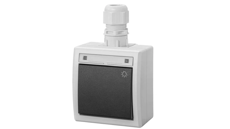 AQUANT 2K łącznik natynkowy zwierny światło IP65 szary 5004-65