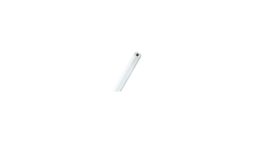 ŚWIETLÓWKA 36W/865 G13 T8 6500K 3250LM 20000h 120CM / 25 szt/