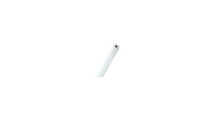 ŚWIETLÓWKA 36W/865 G13 T8 6500K 3250LM 20000h 120CM / 25 szt/
