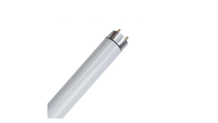 Świetlówka liniowa T8 18W/865 Bellight / 25 sztuk /