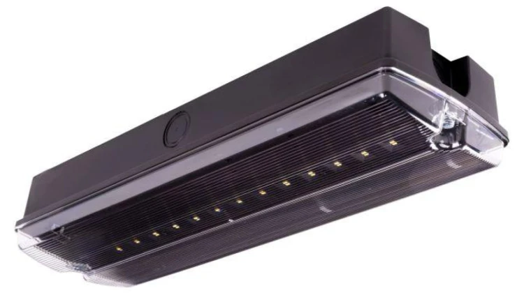 Oprawa ewakuacyjna/awaryjna ORION II 150 M 1H MT IP65 BLK + (OR7, OR8) / 89714