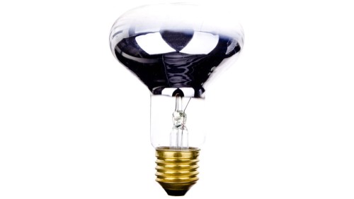 Promiennik podczerwieni E27 75W R80 do terrarium PRO-0406