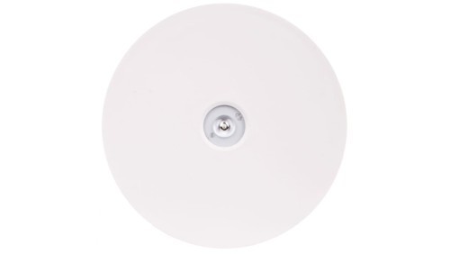 Oprawa awaryjna AXN IP65 ECO LED 1W 125lm (opt. otwarta) 1h jednozadaniowa AT biała AXNO/1W/E/1/SE/AT/WH