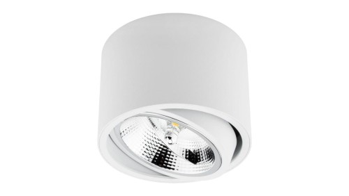 Oprawa Natynkowa Halogenowa SPOT TUBA Ruchoma GU10 AR111 Okrągła Biała 100mm TELES LUMILED