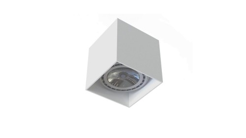 Spot COBBLE WHITE 7791 Nowodvorski Lighting