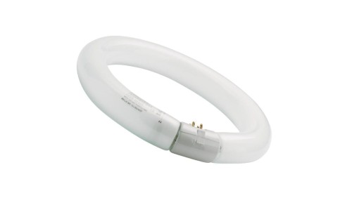 Świetlówka kołowa G10q Fc22/840 T9 circline plus