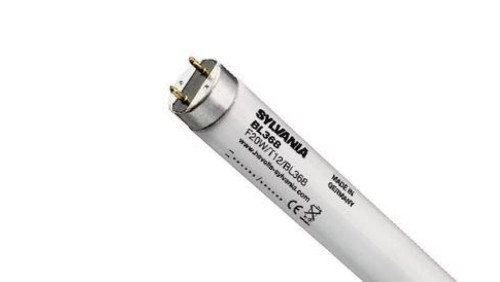 Świetlówka UVA F36W/T8/BL368 G13 SYLVANIA