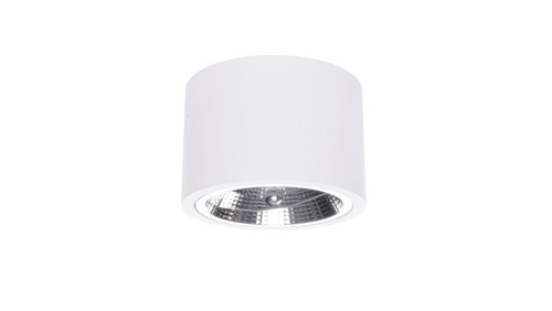 Oprawa natynkowa biała CAMINO LP-1101/1SM WH Light Prestige