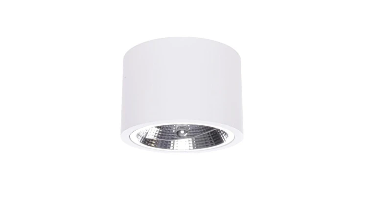 Oprawa natynkowa biała CAMINO LP-1101/1SM WH Light Prestige