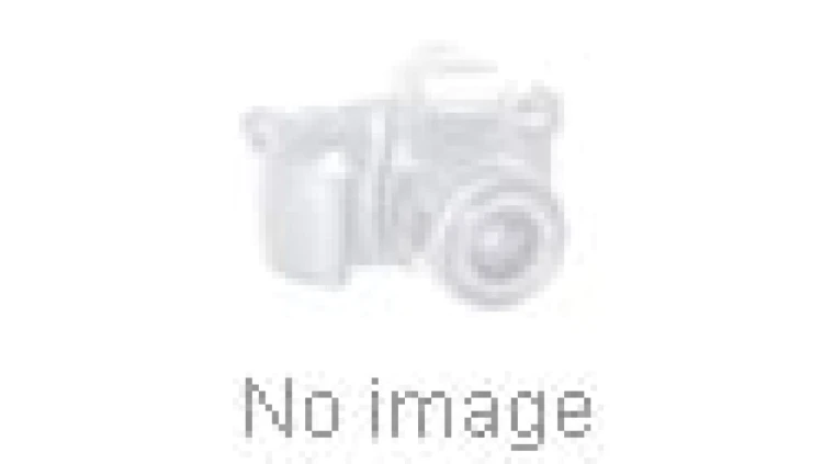 Bateria srebrowa SR44 1,55V 165mAh /5szt./