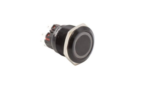 Przełącznik wandaloodporny Poz: 2 SPDT 5A/250VAC IP65 ON-(ON) MP22SMRINRB024A5