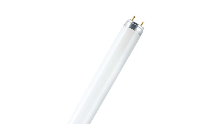 Świetlówka G13 36W 3150lm 6500K 865 4050300517858