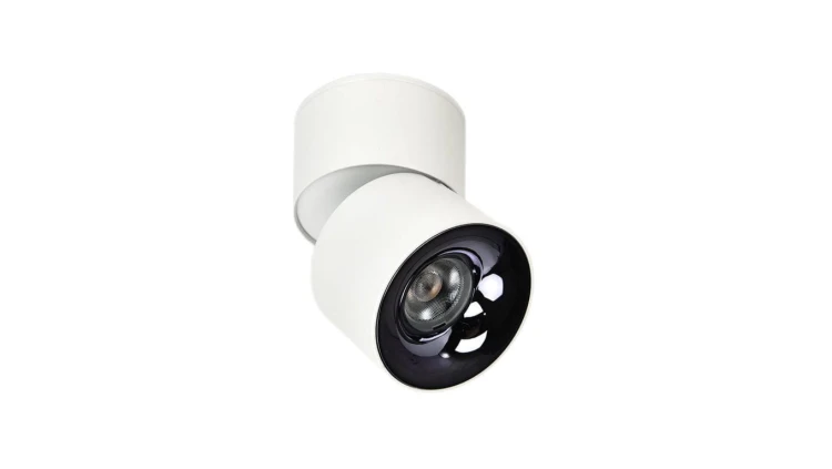 Reflektorek ruchomy natynkowy Brema biały wyposazona w LED CCT LP-2626/1RM WH movable Light Prestige