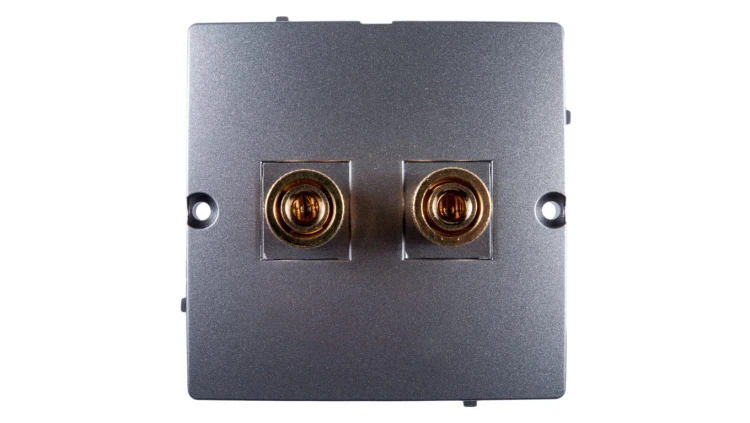 Simon Basic Gniazdo głośnikowe do jednej kolumny stal inox BMGL2.02/21