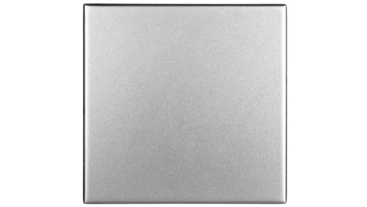 DANTE Klawisz pojedynczy inox 454121