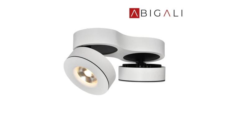 Abigali Oprawa nastropowa LED 12W kolor biały WW - podwójna, ABIGALI-ONBL12WW-2