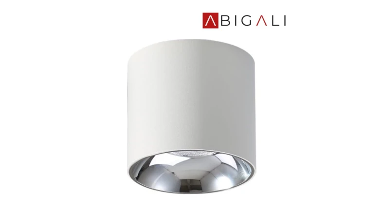 Abigali Oprawa nastropowa Spot Vaiolett 10W NW Biały, ABIGALI-DL10W-NW
