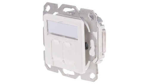 Płytka czołowa, Cat5e, l. otworów: 2, RJ45