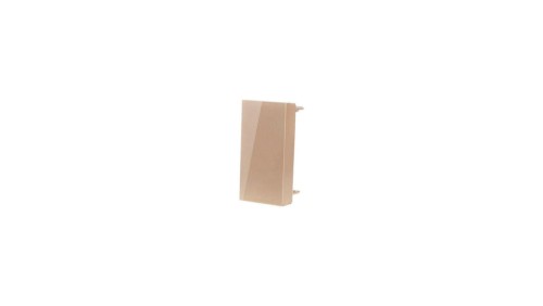 Livolo WZ-W-63 MODUŁ ZAŚLEPKI SZAMPAŃSKI