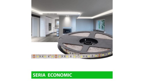 Taśma Economic IP63 12V 60led W 6000-7000K SMD5050 (5)