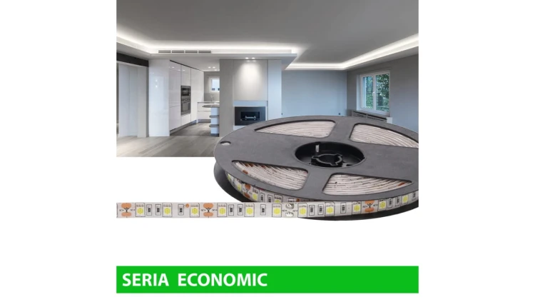 Taśma Economic IP63 12V 60led W 6000-7000K SMD5050 (5)