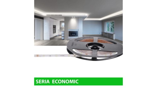 Taśma Economic IP63 12V 30led W 6000-7000K SMD2835 (5)