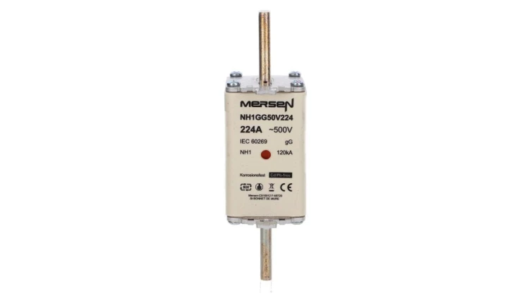 Wkładka bezpiecznikowa NH 1 224A 500VAC gG D219285