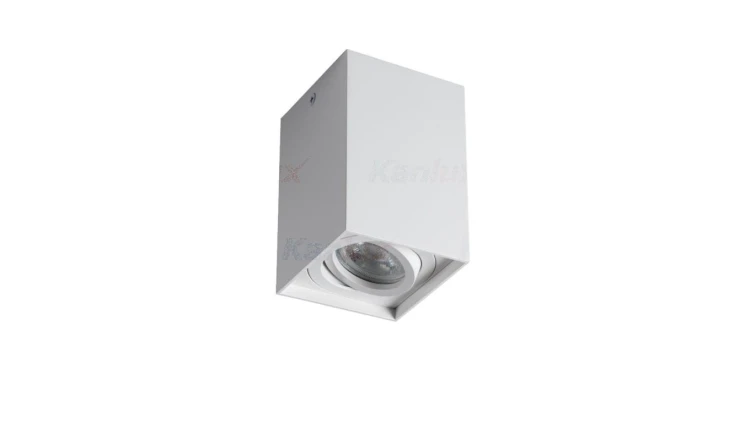 Kanlux oprawa sufitowa GORD XS DLP-50-W biała, regulowana